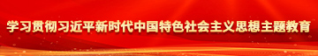 操逼一去学习贯彻习近平新时代中国特色社会主义思想主题教育